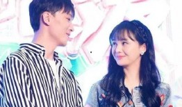 郑爽和王彦斌最新爆料,揭秘背后真相与情感纠葛”